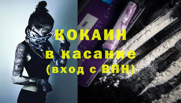 сатива Покачи