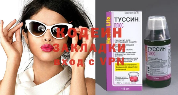 сатива Покачи