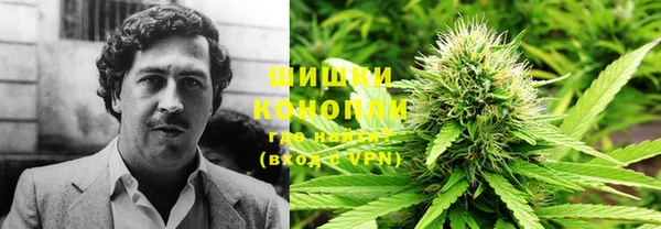 сатива Покачи
