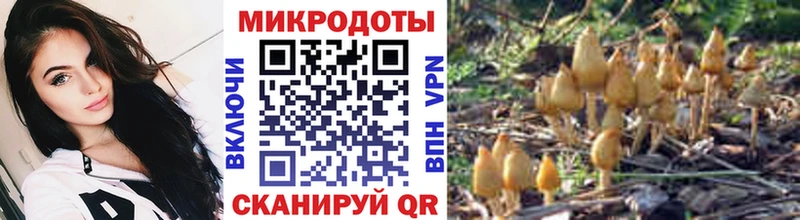 ОМГ ОМГ сайт  Цимлянск  Галлюциногенные грибы Psilocybe 